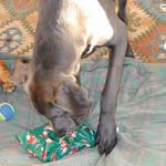 Opening presents
